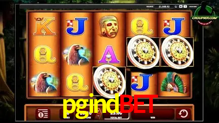 A Experiência Imersiva dos Cassinos Ao Vivo no pgindbet